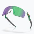 Sluneční brýle dziecięce Oakley Resistor matte white/prizm jade 4
