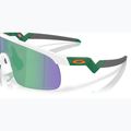 Sluneční brýle dziecięce Oakley Resistor matte white/prizm jade 6