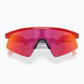 Sluneční brýle dziecięce Oakley Resistor Sweep redline/prizm field 3
