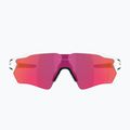 Sluneční brýle Oakley Radar EV S Path polished white/prizm field 2