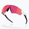 Sluneční brýle Oakley Radar EV S Path polished white/prizm field 4