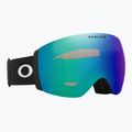Lyžařské brýle Oakley Flight Deck Pro L matte black/prizm sage gold/prizm iced