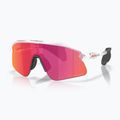 Sluneční brýle Oakley Stunt Devil matte clear/prizm field
