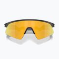 Dětské sluneční brýle Oakley Resistor Sweep polished matte black/prizm 24k 3