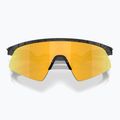 Dětské sluneční brýle Oakley Resistor Sweep matte black splatter/prizm 24k 5