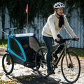Thule Coaster XT Bike Trailer+Stroll Green 10101820 7