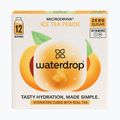 Microdrink Ice Tea 12 kostek broskev