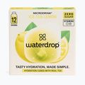 Microdrink Ice Tea 12 kostek citron