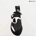 Lezecké boty Evolv Zenist grey/black 6