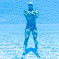 Pánské plavky Funky Trunks Classic Trunks curl 11