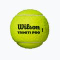 Tenisové míče Wilson Triniti Pro 3 pcs. yellow 2