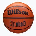 Dětský basketbalový míč   Wilson NBA JR Drv Fam Logo brown velikost 5