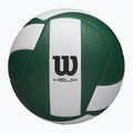 Volejbalový míč Wilson Helix Game Ball green/white velikost  5