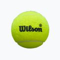 Padelové míče Wilson Premier Padel Speed 3B 3 ks yellow 2