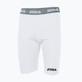 Pánské termo šortky Joma Warm Fleece blanco