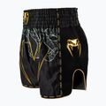 Pánské tréninkové šortky Venum Serpenti Muay Thai black/silver/gold 3