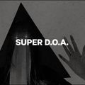 Pánský snowboard CAPiTA Super D.O.A white 1211111/160 3