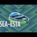 JOBE Sea-esta Towable 3P blue 230320010 12