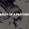 Dámský snowboard CAPiTA Birds Of A Feather bílý 1211119 13