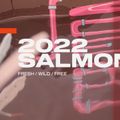 Wakeboard SLINGSHOT Salmon pink 9