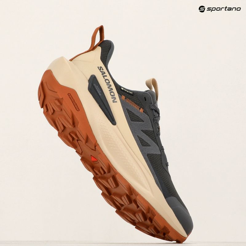 Pánské turistické boty Salomon Elixir Activ GTX phantom/black/magnet 10