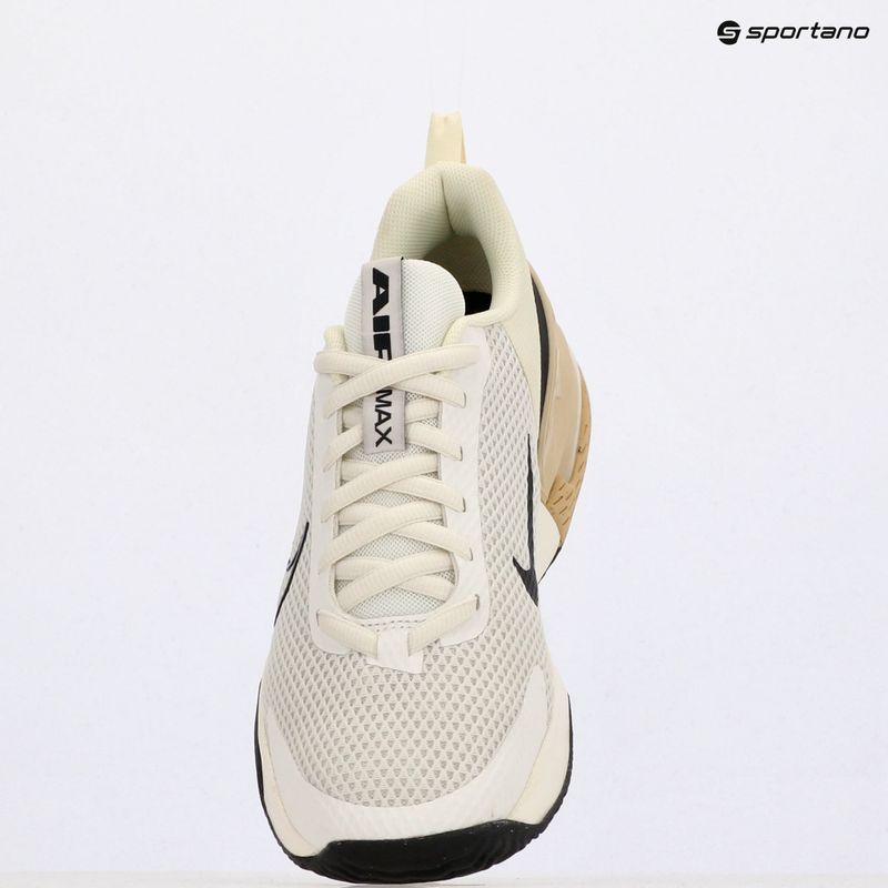 Pánské tréninkové boty Nike Air Max Alpha Trainer 6 sail/coconut milk/team gold/black 9