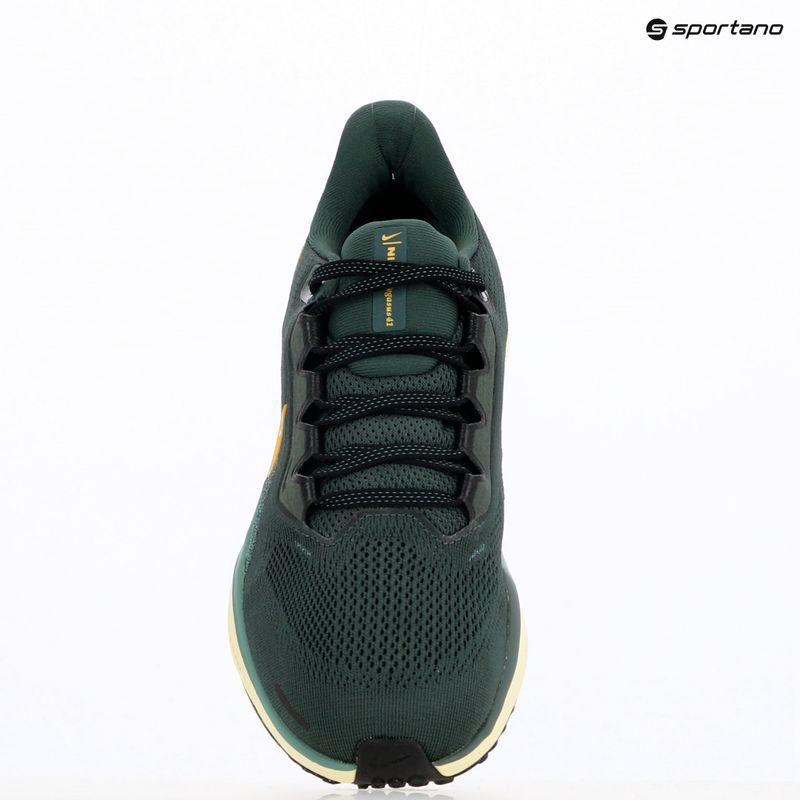 Pánské běžecké boty Nike Pegasus 41 vintage green / bicoastal / black / infinite gold 9