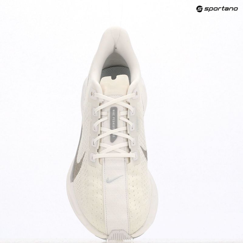Pánské běžecké boty Nike Pegasus Plus white / pure platinum / wolf grey 19