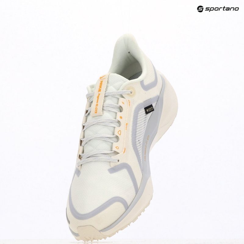Pánské běžecké boty Nike Pegasus 41 GTX sail/football grey/sundial/ashen slate 6