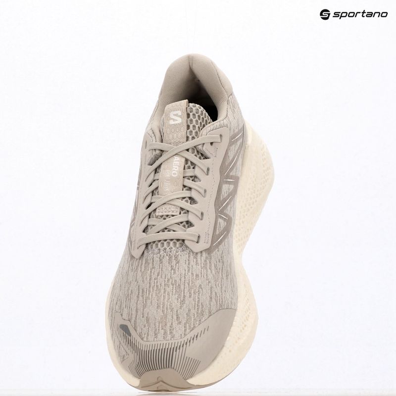 Pánské běžecké boty Salomon Aero Glide 4 silver/silver/white 7