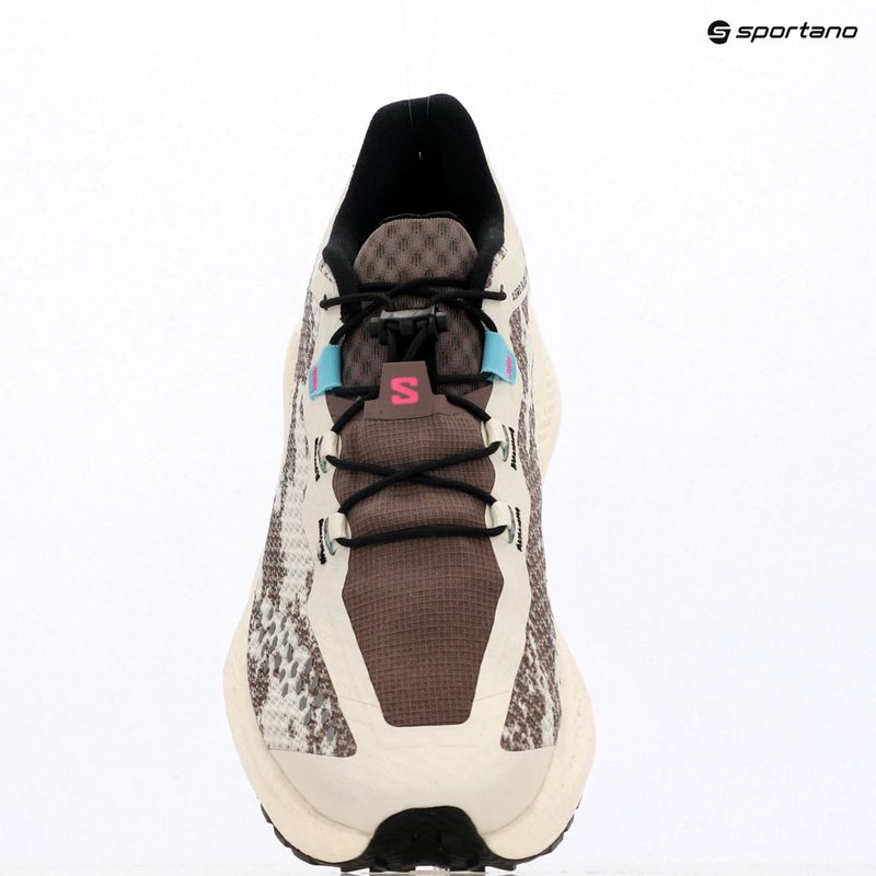 Pánská běžecká obuv Salomon Aero Glide 4 GRVL vanilla ice/black/iron 12