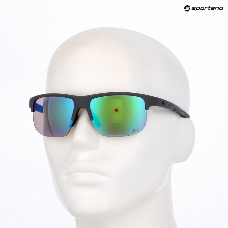 Sluneční brýle Alpina Eagle Q-Lite midnight/grey matt/green 7