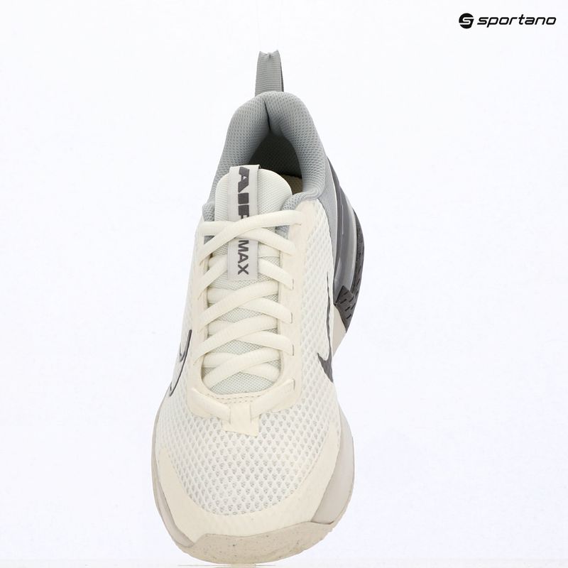 Pánské tréningové boty Nike Air Max Alpha Trainer 6 sail/light smoke grey/phantom/pencil point 5