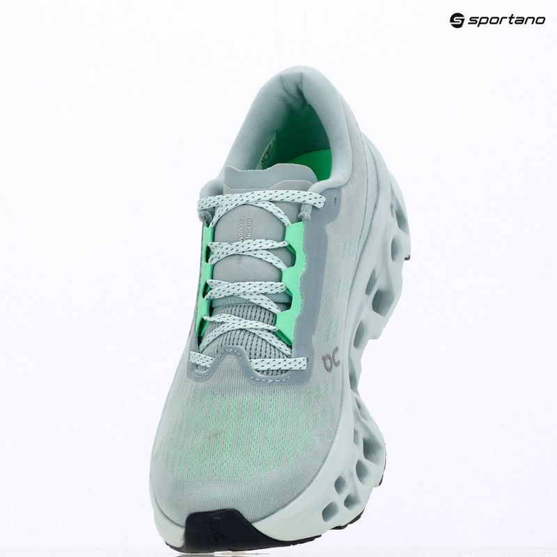 Dámské běžecké boty On Cloudmonster 3 brook/flurry 16