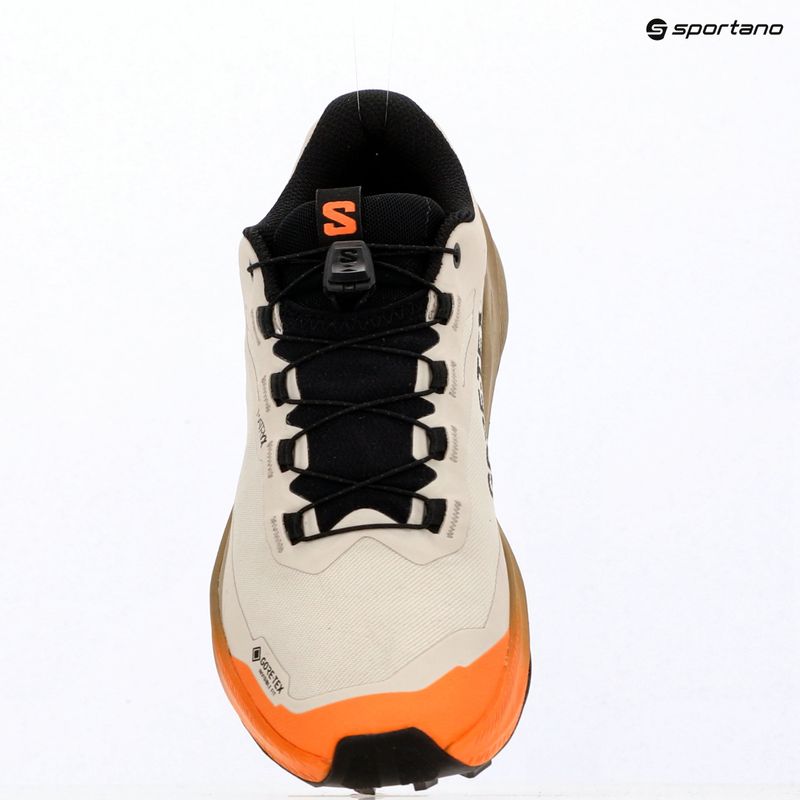 Dámské běžecké boty Salomon Genesis 2 GTX rainy day/desert tan 15