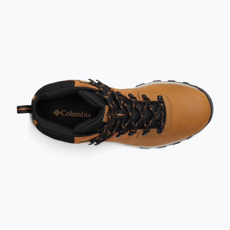 Pánské trekové boty Columbia Newton Ridge Plus II Wp elk/black 15