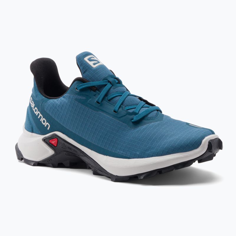 Pánské trekové boty Salomon Alphacross 3 blue L41599700
