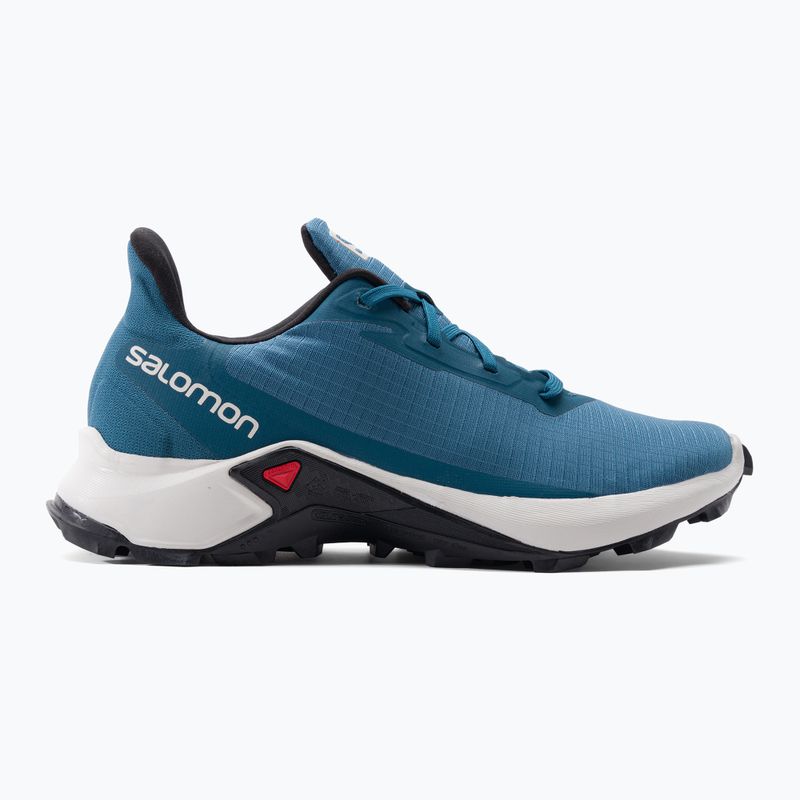 Pánské trekové boty Salomon Alphacross 3 blue L41599700 2