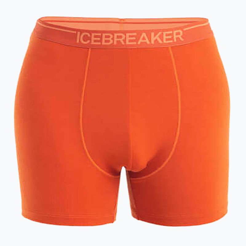 Pánské termoboxerky  icebreaker Anatomica molten