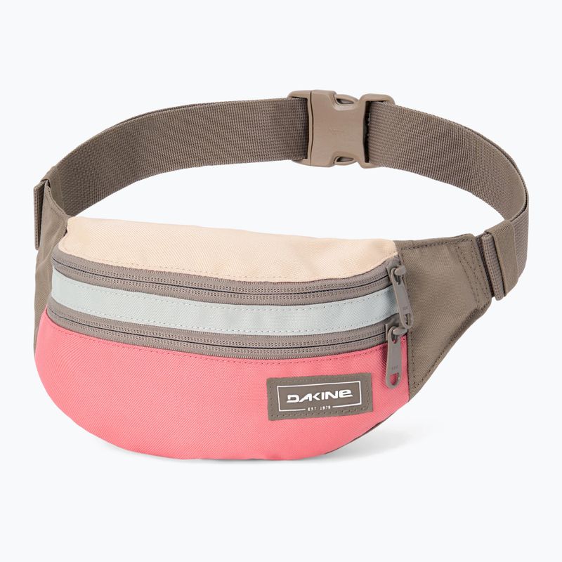 Ledvinka Dakine Classic Hip salmon bay