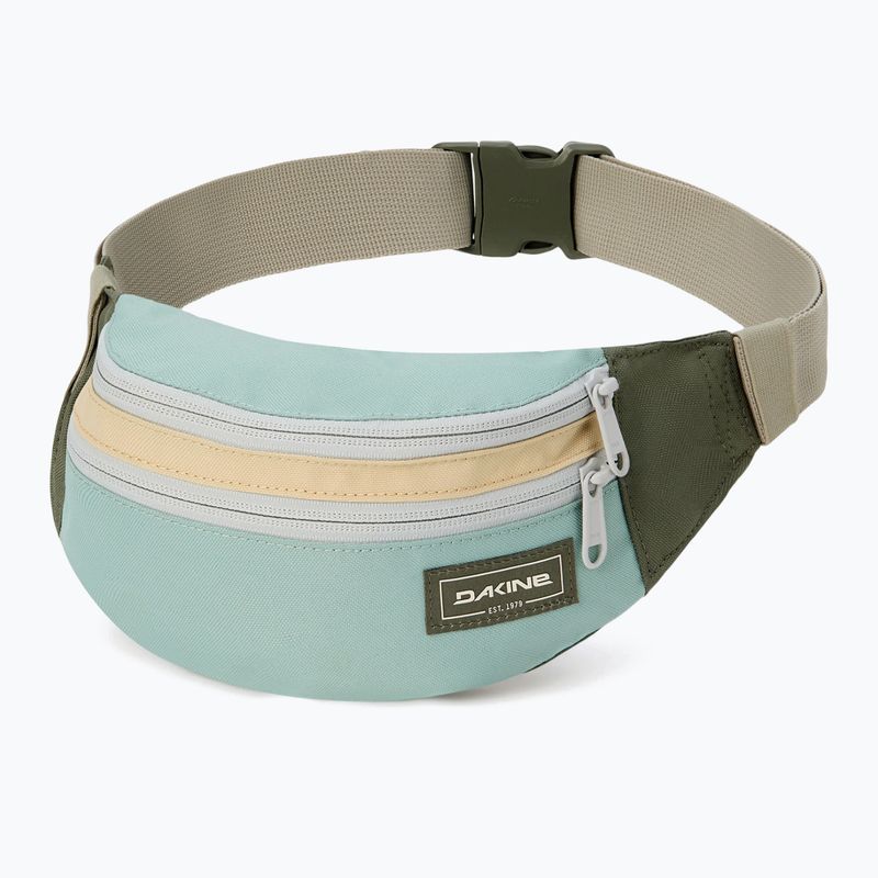Ledvinka Dakine Classic Hip forest pond