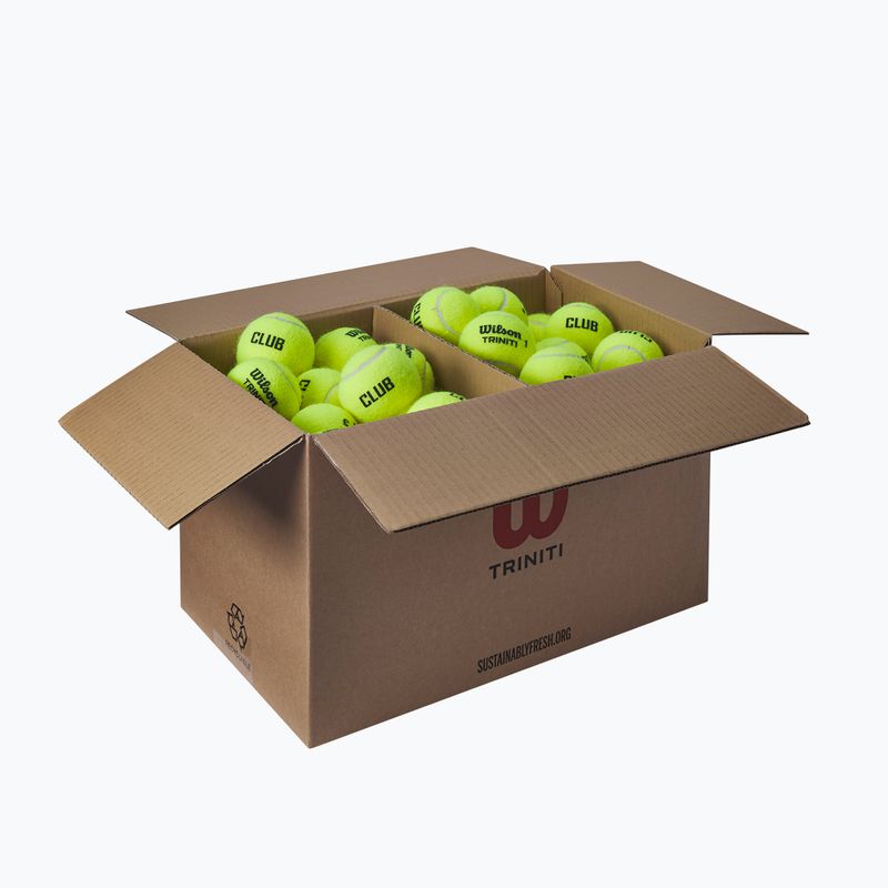 Tenisové míče Wilson Trinity Club 72 pcs. yellow 2
