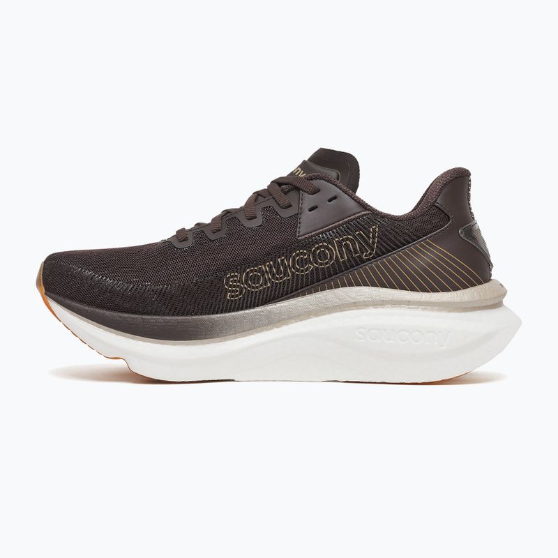 Dámské běžecké boty Saucony Endorphin Azura torte 2