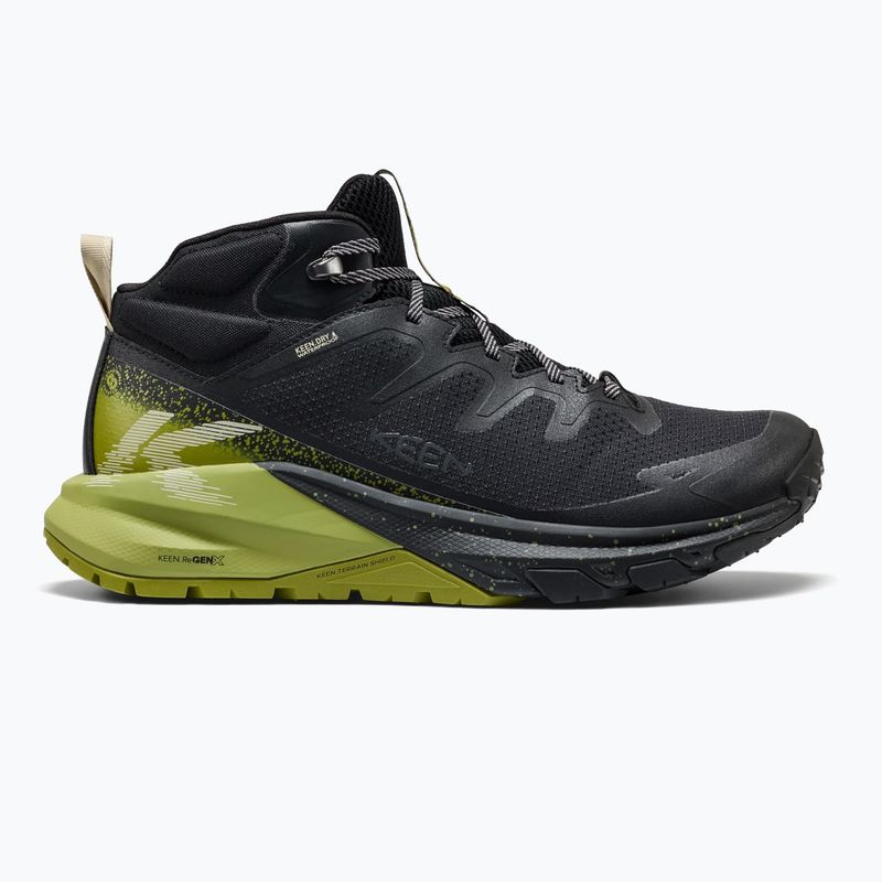 Pánské trekové boty KEEN Targhee Apex Mid Wp black/golden cypress 2