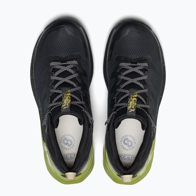 Pánské trekové boty KEEN Targhee Apex Mid Wp black/golden cypress 5