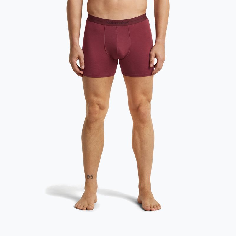 Pánské termo boxerky icebreaker Anatomica Boxers port 2