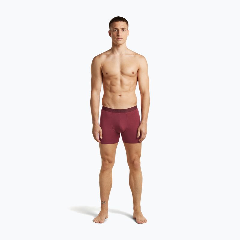 Pánské termo boxerky icebreaker Anatomica Boxers port 3