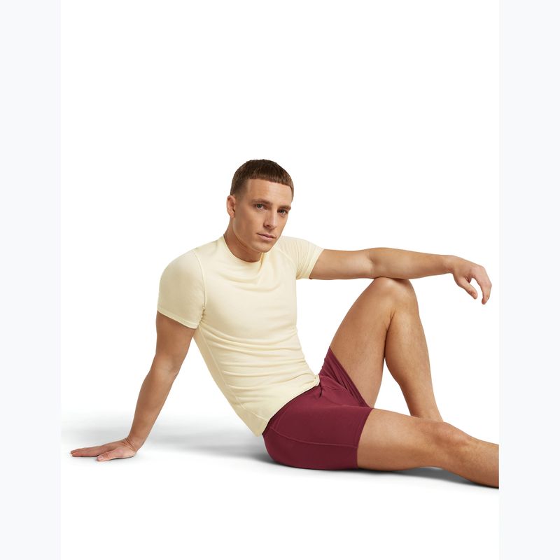 Pánské termo boxerky icebreaker Anatomica Boxers port 6