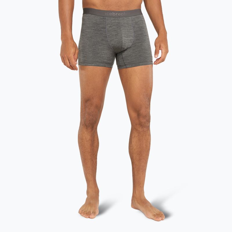 Pánské termo boxerky  icebreaker Merino 125 Cool-Lite Anatomica gritstone heather 2