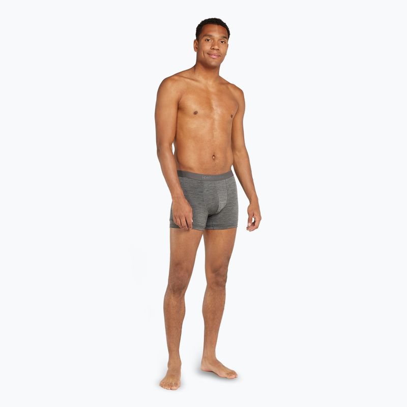 Pánské termo boxerky  icebreaker Merino 125 Cool-Lite Anatomica gritstone heather 3